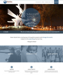 Professional Association & Foundations Website Development